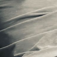 博露さんのアイコン画像