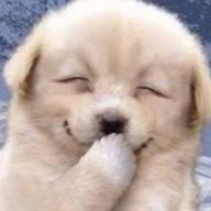 ℝ𝕦𝕒☪︎さんのアイコン画像