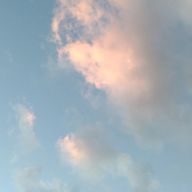 いちごさんのアイコン画像