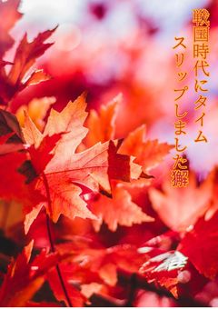 戦国時代にタイムスリップしました獬