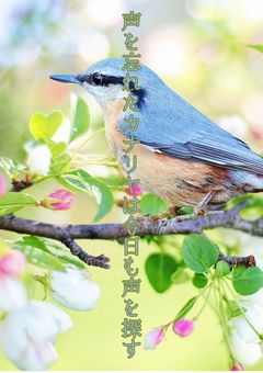 声を忘れたカナリヤは今日も声を探す