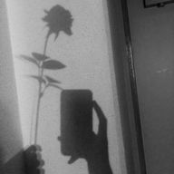 ririさんのアイコン画像