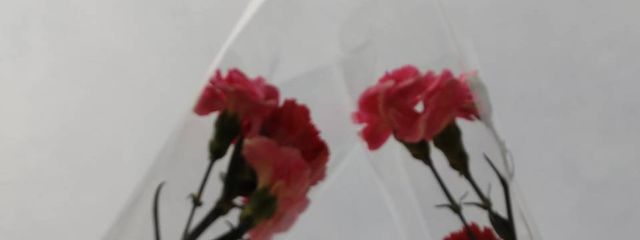 まろん @4月頃引退予定さんの壁紙画像