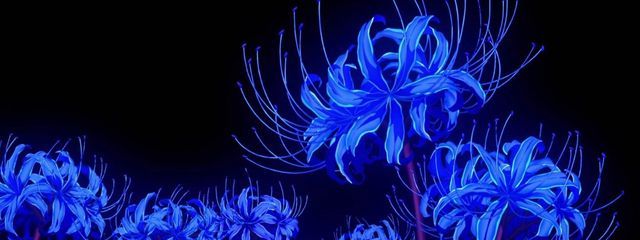 Rさんの壁紙画像