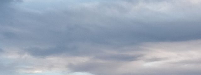 れんげさんの壁紙画像