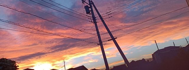 さとこちゃん さんの壁紙画像