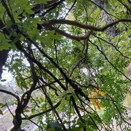 さとこちゃん さんのアイコン画像