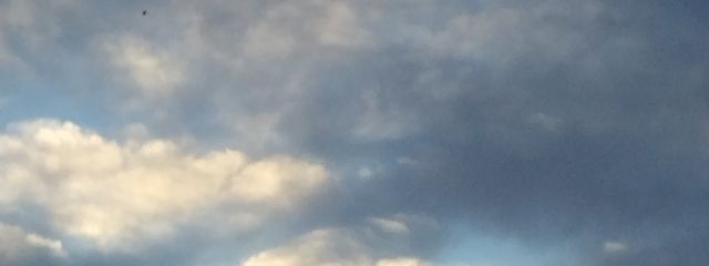 シィズさんの壁紙画像