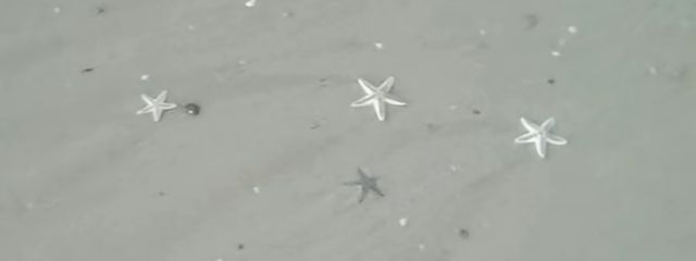 よりしげっこ🍕さんの壁紙画像