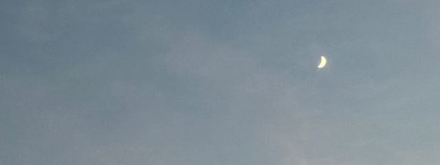 　Suzuno.さんの壁紙画像