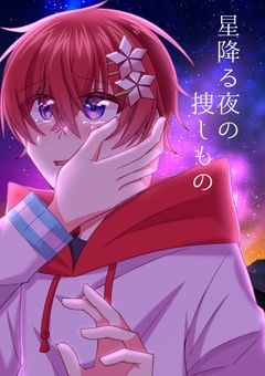 星降る夜の捜しもの
