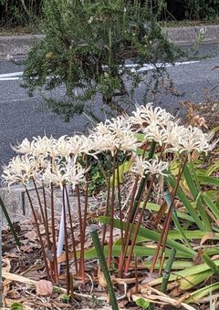 雑談…?