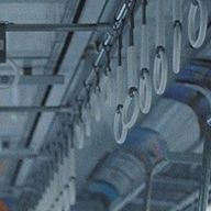 dapiさんのアイコン画像