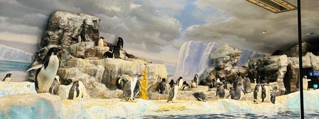 dhilyuさんの壁紙画像