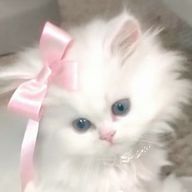ぴさんのアイコン画像