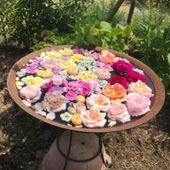 akrnさんのアイコン画像