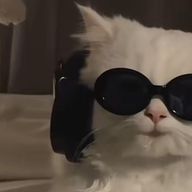 ぱちょらさんのアイコン画像