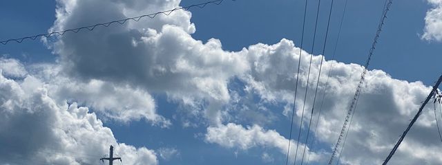 cocoさんの壁紙画像