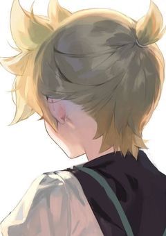 鏡音レンくんに溺愛されてます。