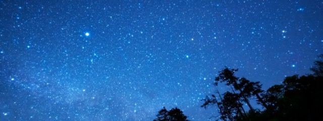 プラスレ／＋lle　さんの壁紙画像