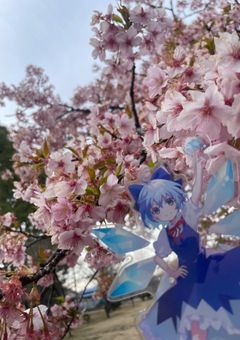 運命の再会、君と僕の物語