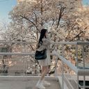 夏姫（なまえ）