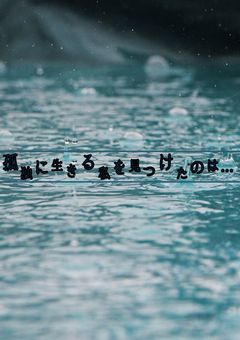 孤独に生きる私を見つけたのは…