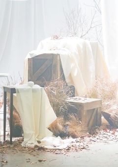 私の救いは貴方達だけだったのに。