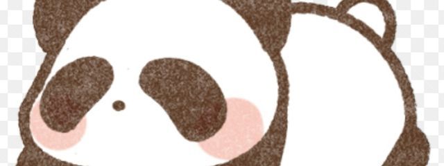 パンダ🐼さんの壁紙画像