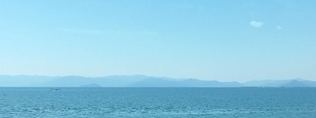 美咲さんの壁紙画像