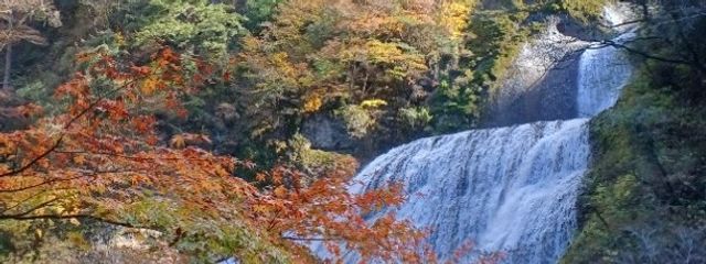 氷花(ひょうか)さんの壁紙画像