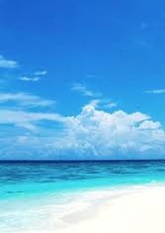 感情は、目で語る。