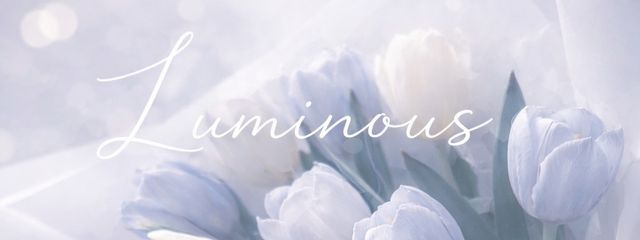 とうりさんの壁紙画像