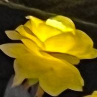 奈美　さんのアイコン画像