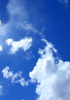ごめんな…