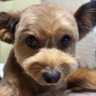 もとさんのアイコン画像