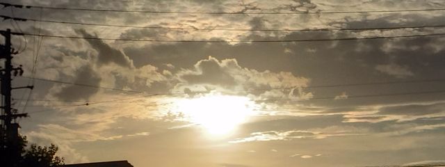 楓華 @Maple& Thornsさんの壁紙画像