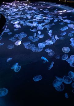 雑談部屋