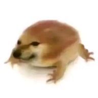 哀歌さんのアイコン画像