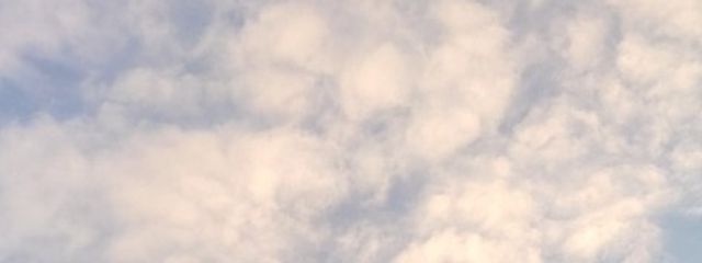 ちゃとさんの壁紙画像