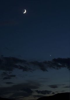 断じて恋では！！