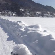 雪さんのアイコン画像