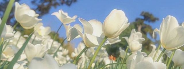 ⛄️さんの壁紙画像