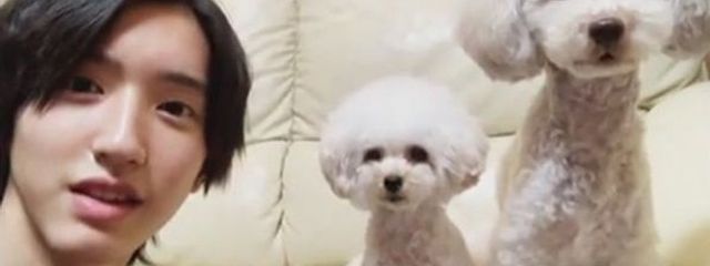 ふうかさんの壁紙画像