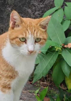 恐怖の果てに、愛と解放を。