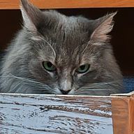 KAGRAさんのアイコン画像