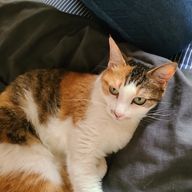 裕子　さんのアイコン画像