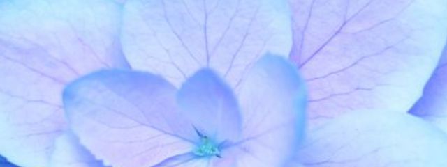 ルカさんの壁紙画像