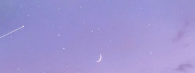 Saraさんの壁紙画像