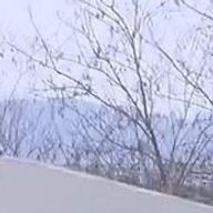 きゅりさんのアイコン画像